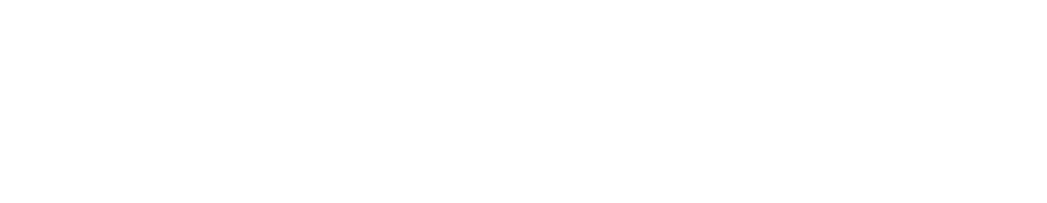 Prime Sphere Logo